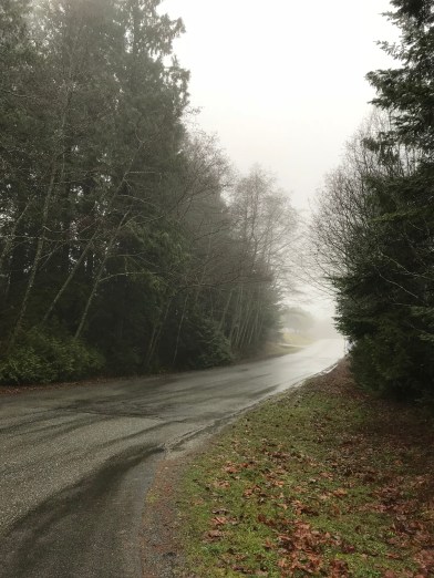 2018-01-08 14.00.09-1