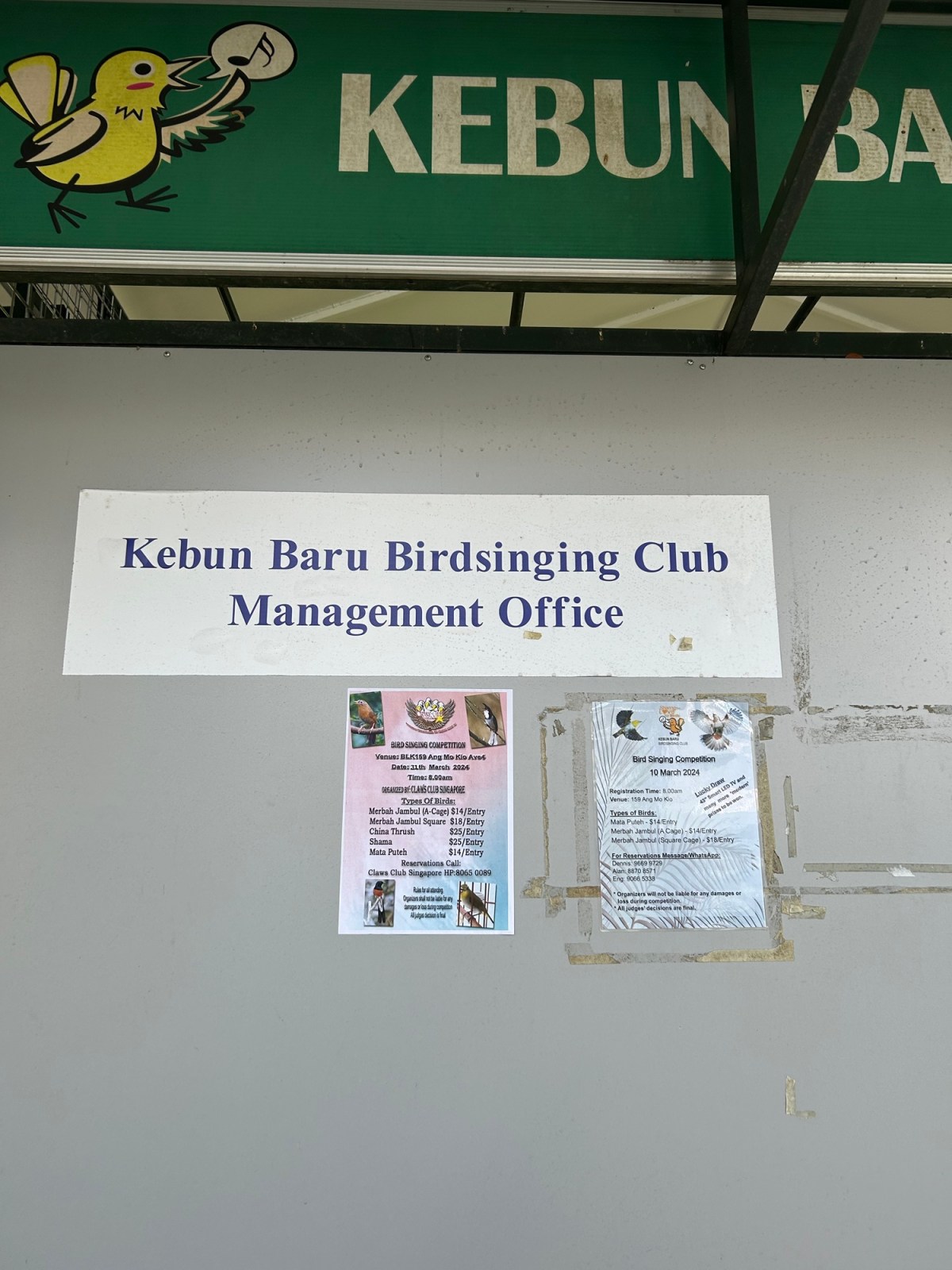 Sharon and Wilf go to the&nbsp;birds