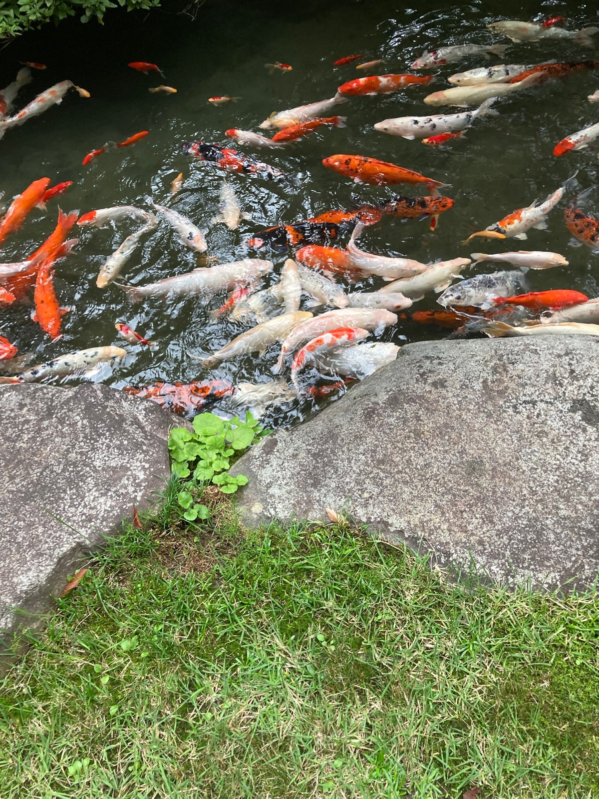 One last thing about&nbsp;Yuzawa